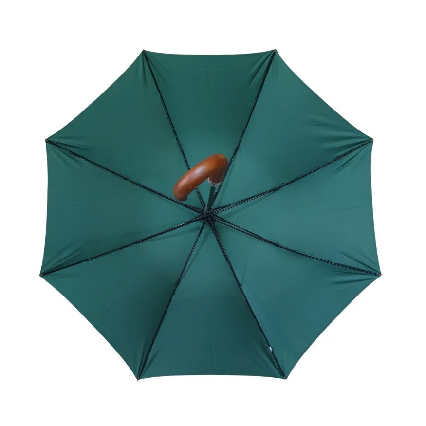 BBC005 fibreglass frame and canopy underside — from the specification sheet